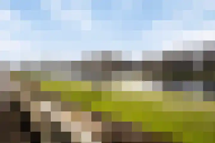 Queridolaan 65 Oegstgeest thumbnail 4