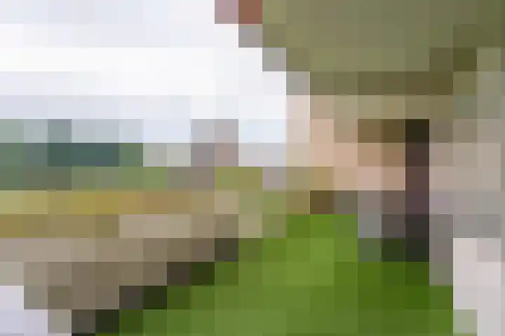 Queridolaan 89 Oegstgeest thumbnail 18