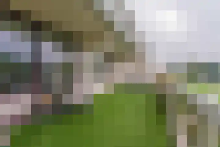 Queridolaan 89 Oegstgeest thumbnail 20