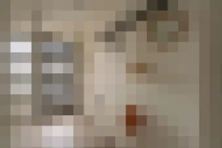 Queridolaan 89 Oegstgeest thumbnail 22