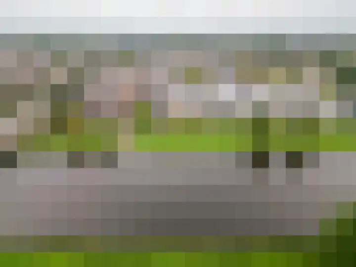 Queridolaan 89 Oegstgeest thumbnail 23