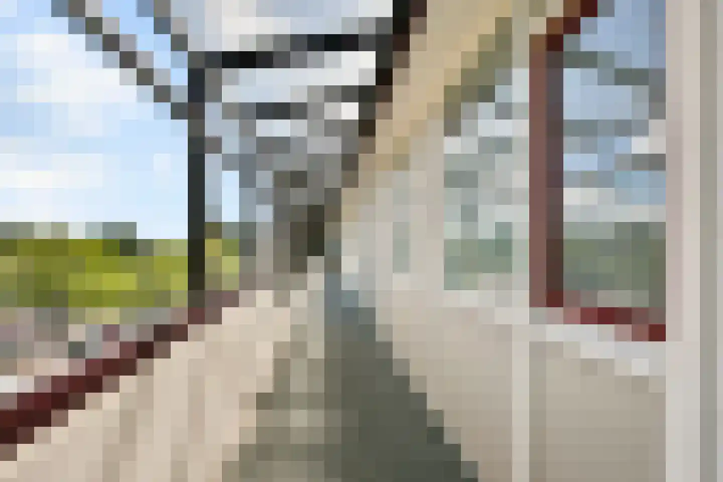 Queridolaan 99 Oegstgeest thumbnail 19