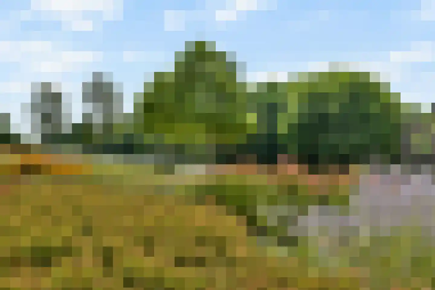 Queridolaan 99 Oegstgeest thumbnail 27