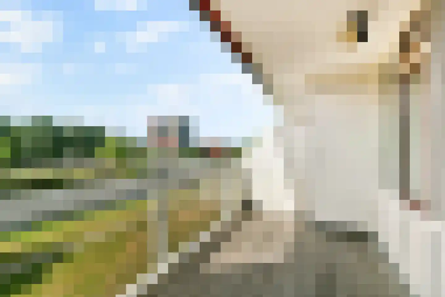 Queridolaan 99 Oegstgeest thumbnail 8
