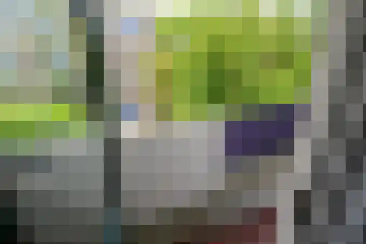 Queridostraat 139 Voorburg thumbnail 20