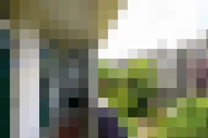 Queridostraat 139 Voorburg thumbnail 22