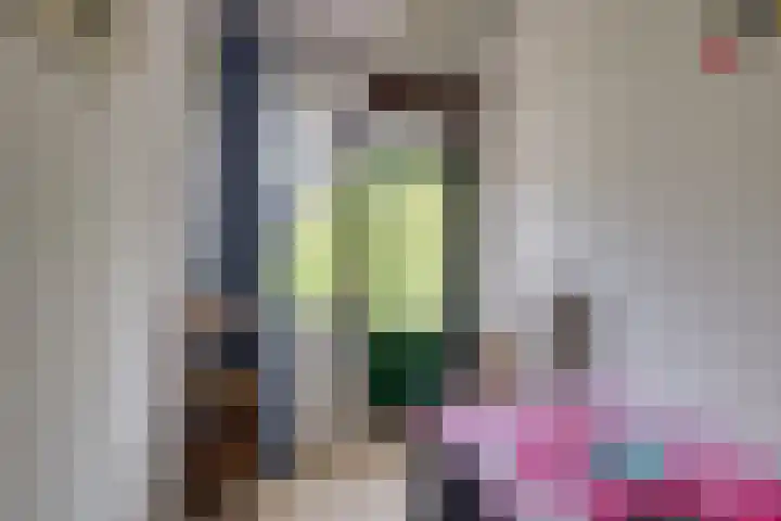 Queridostraat 139 Voorburg thumbnail 24