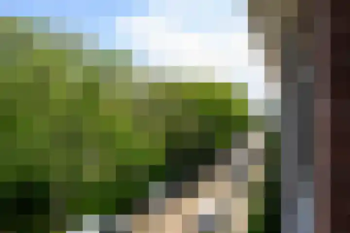 Queridostraat 139 Voorburg thumbnail 33