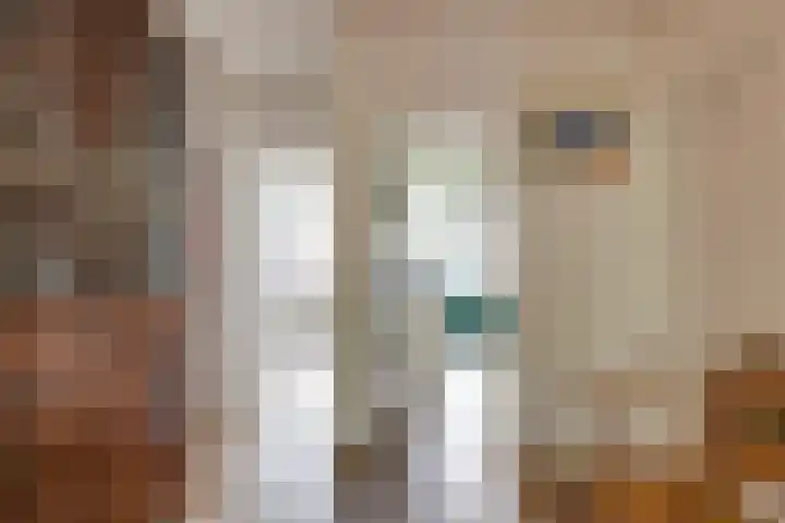 Queridostraat 139 Voorburg thumbnail 9