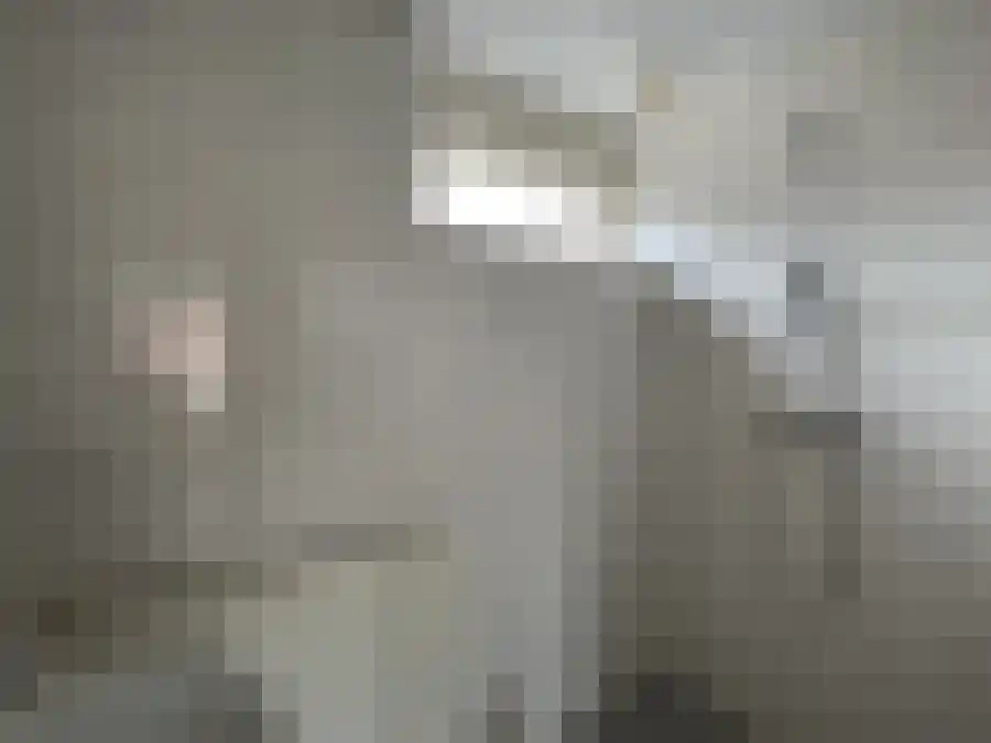 Queridostraat 19 Harderwijk thumbnail 6