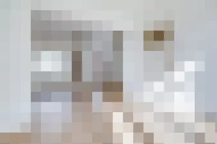 Queridostraat 23 BS Utrecht thumbnail 8