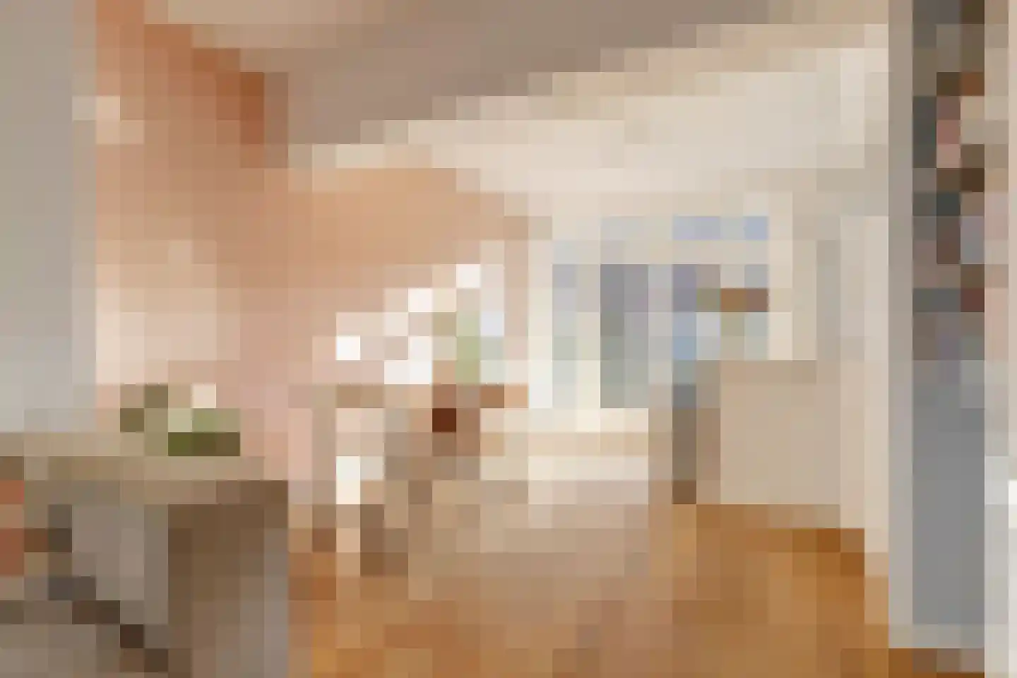 Queridostraat 23 BSA Utrecht thumbnail 8