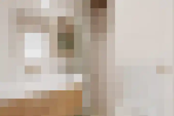 Queridostraat 61 Voorburg thumbnail 22