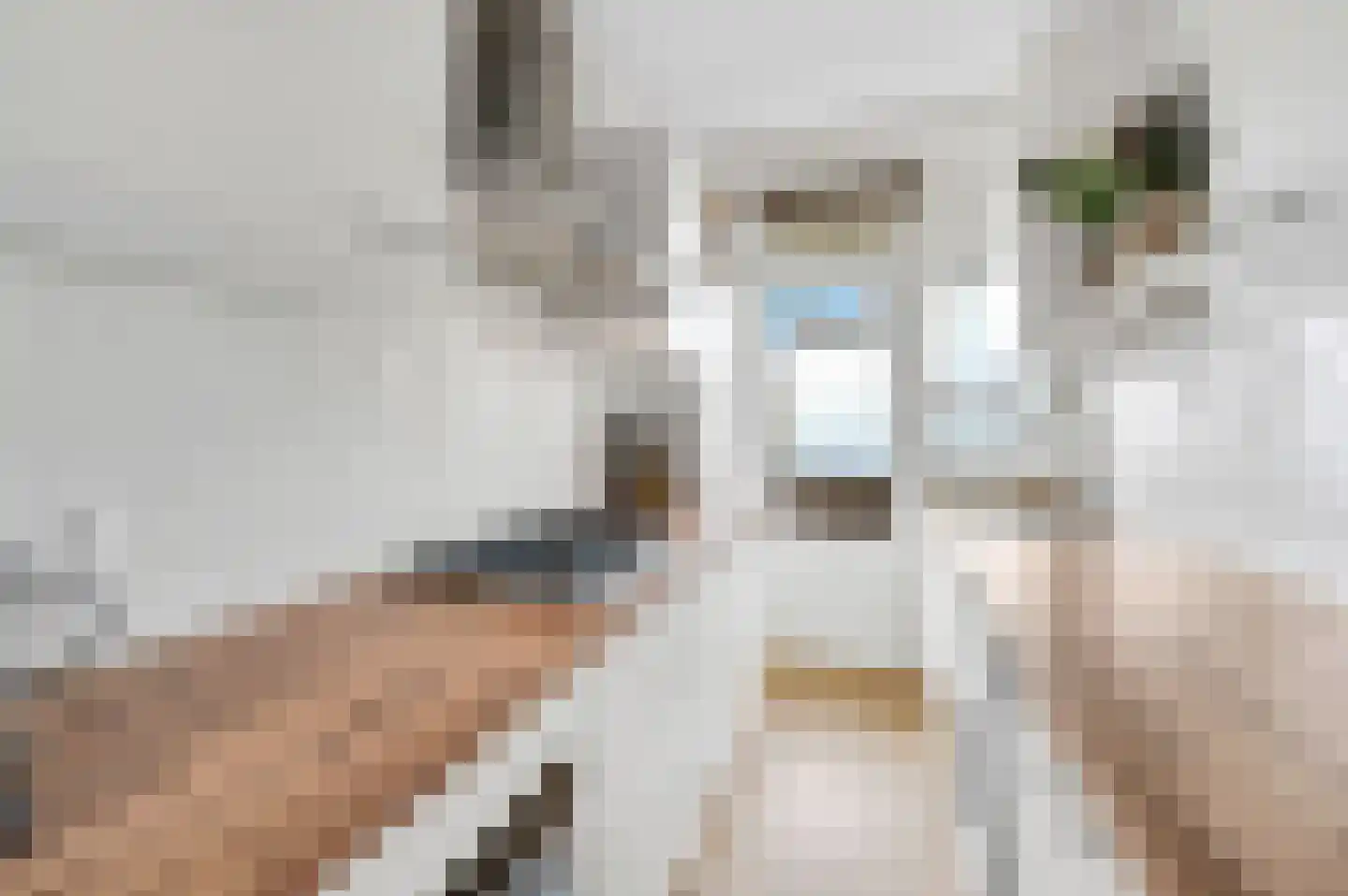 Queridostraat 65 Voorburg thumbnail 16