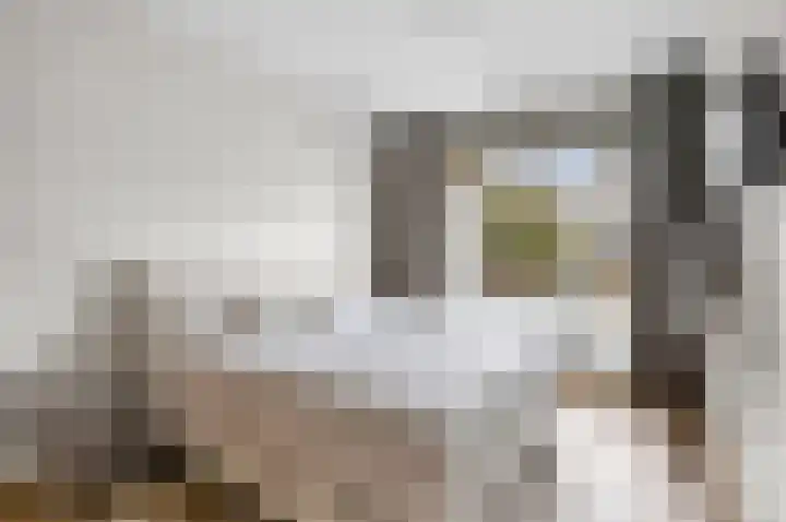 Queridostraat 65 Voorburg thumbnail 18