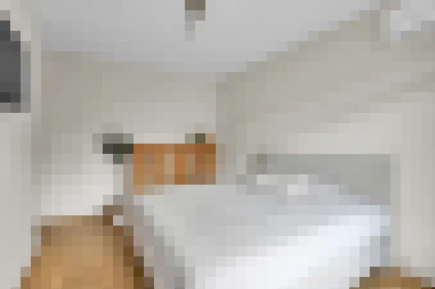 Queridostraat 65 Voorburg thumbnail 19