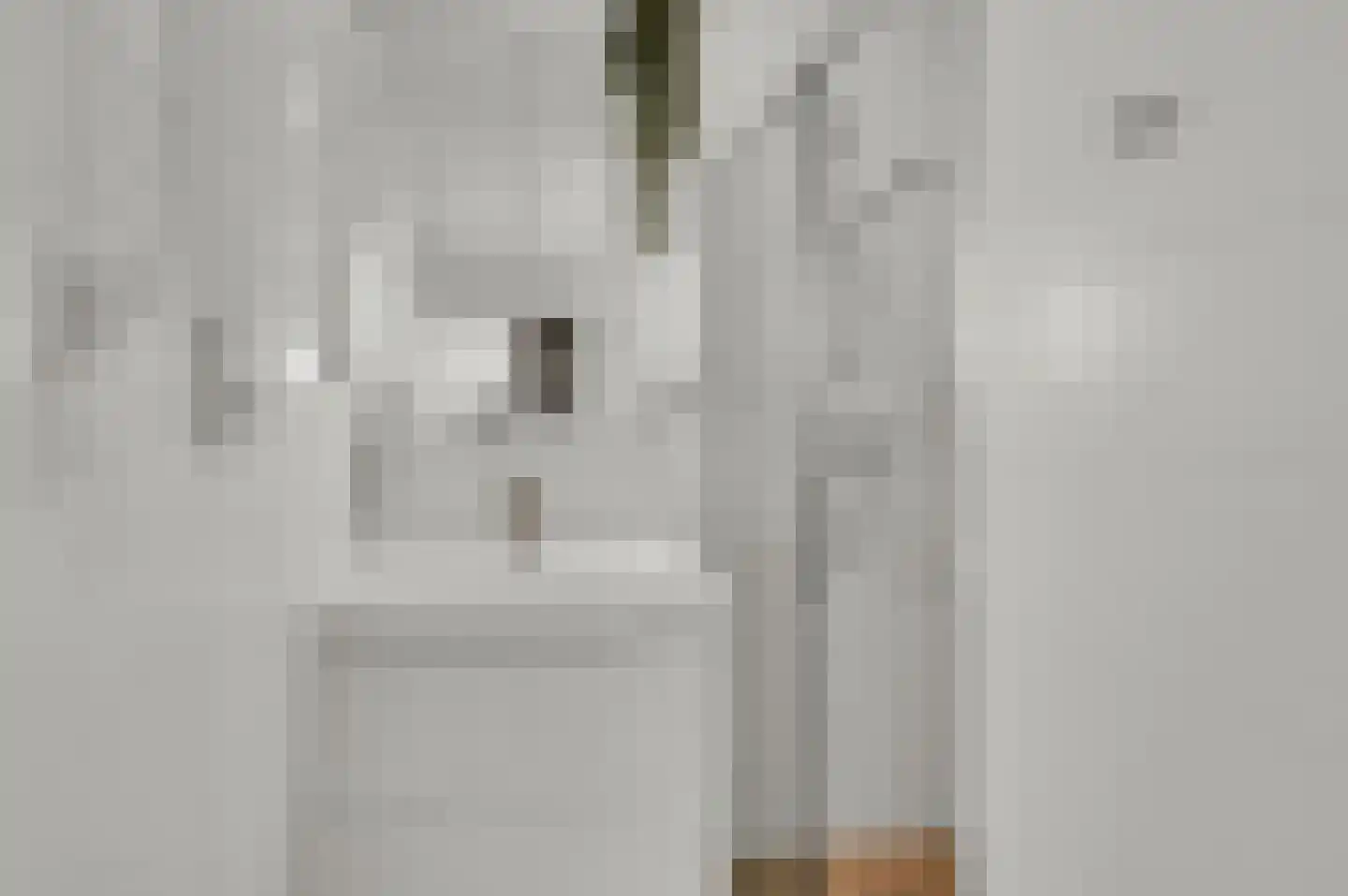 Queridostraat 65 Voorburg thumbnail 23
