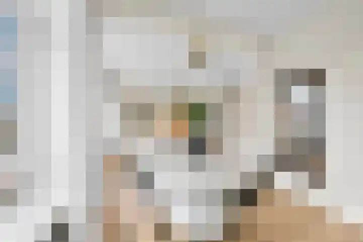 Queridostraat 65 Voorburg thumbnail 8