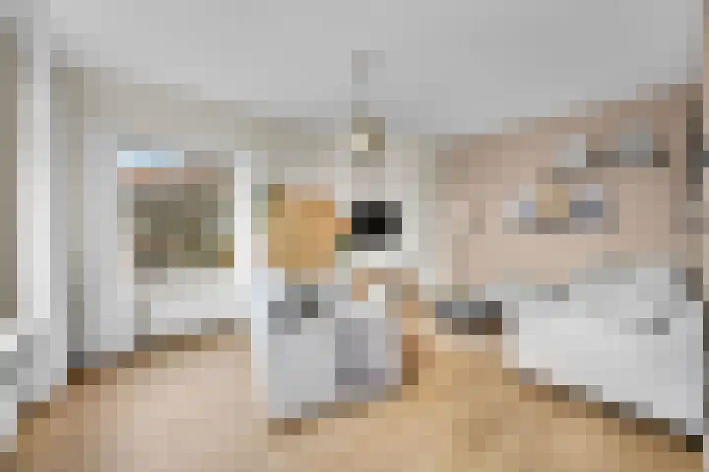 Queridostraat 65 Voorburg thumbnail 9