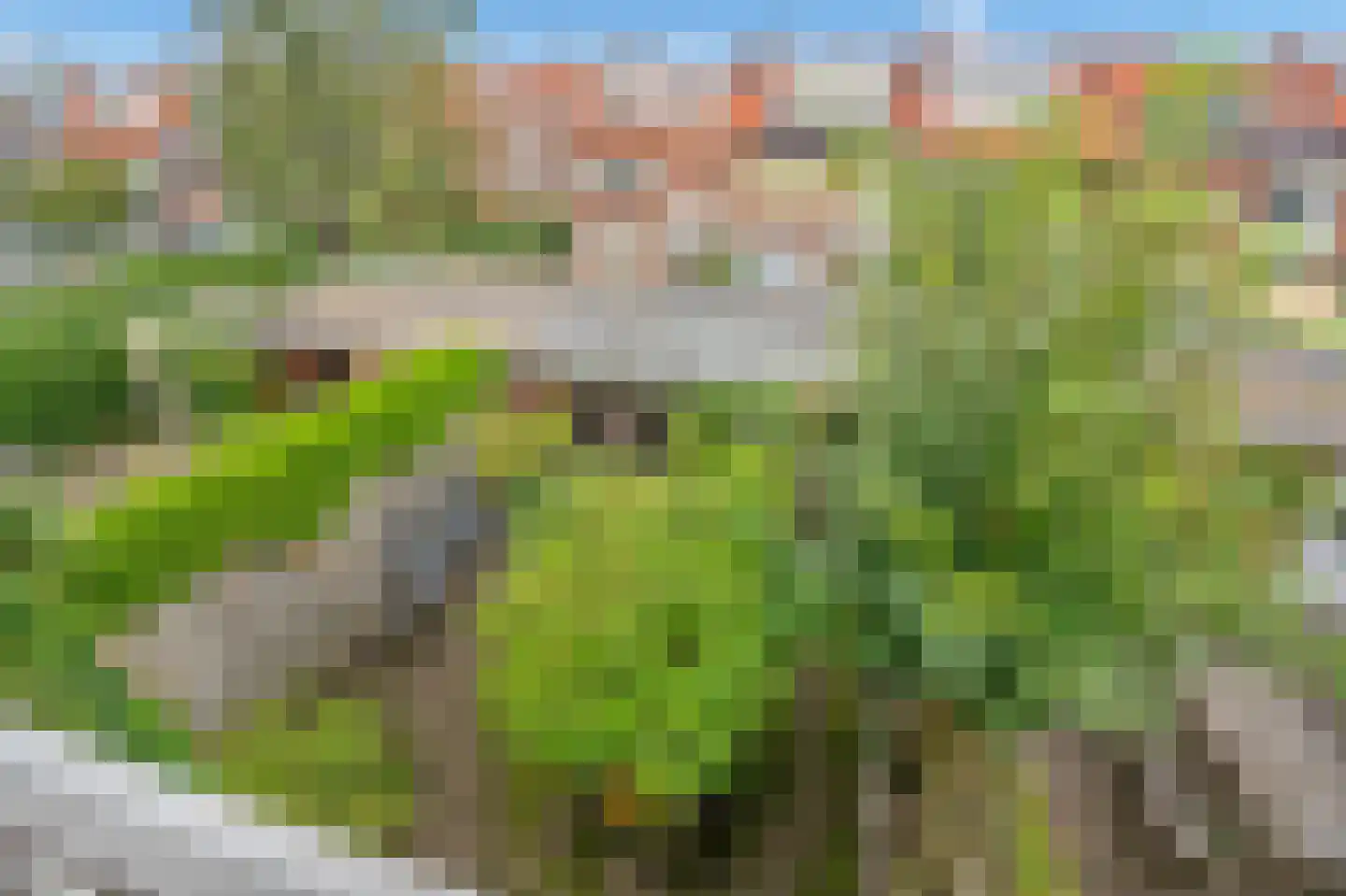 Queridostraat 80 Voorburg thumbnail 33