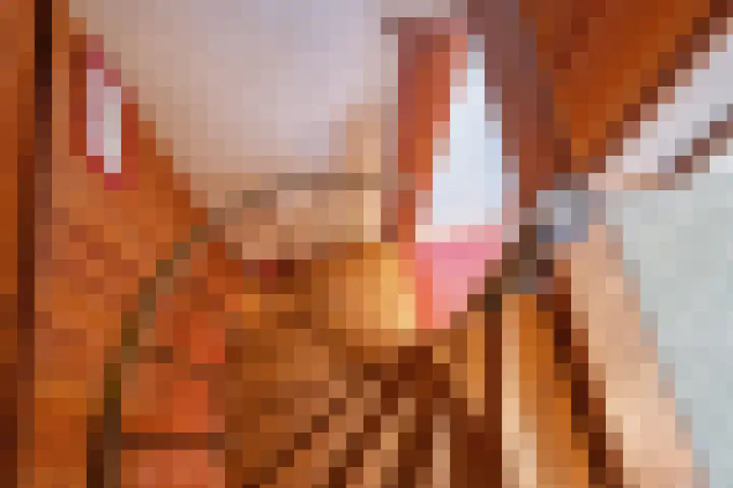 Queridostraat 80 Voorburg thumbnail 34