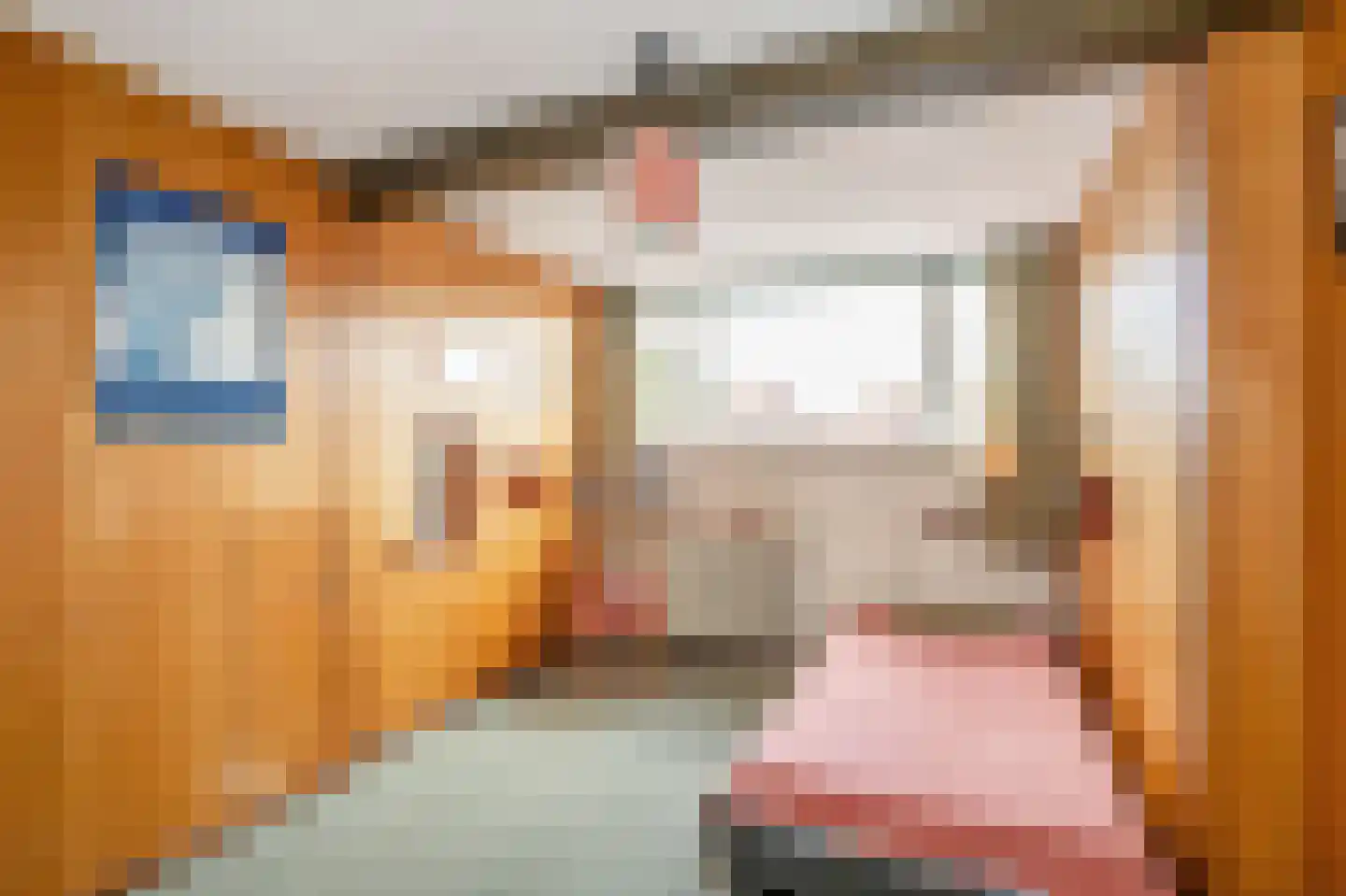 Queridostraat 80 Voorburg thumbnail 36