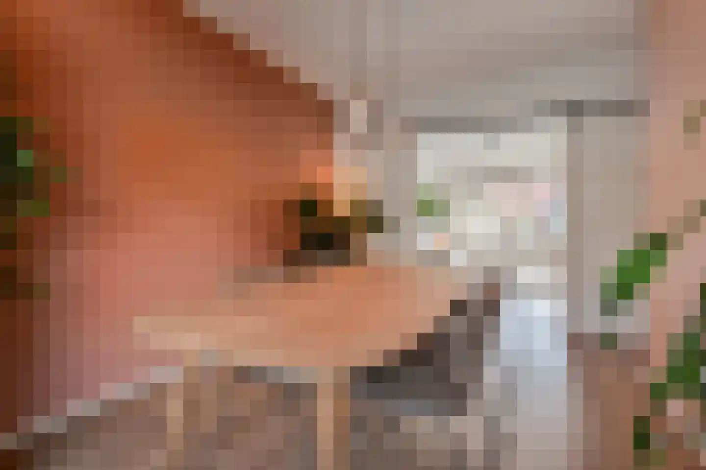 Queridostraat 81 Voorburg thumbnail 17