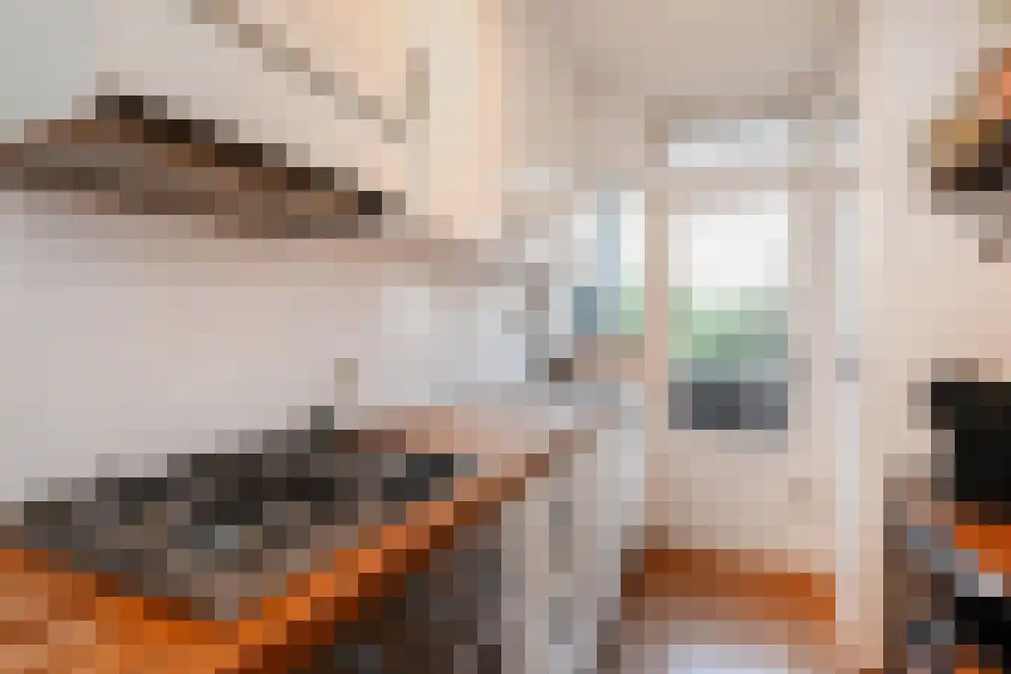 Queridostraat 81 Voorburg thumbnail 26