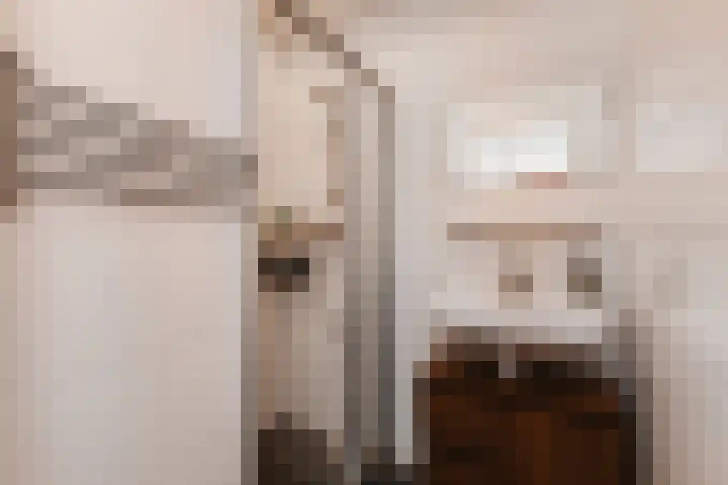 Queridostraat 81 Voorburg thumbnail 28