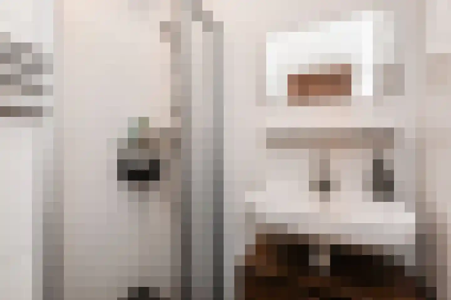 Queridostraat 81 Voorburg thumbnail 29