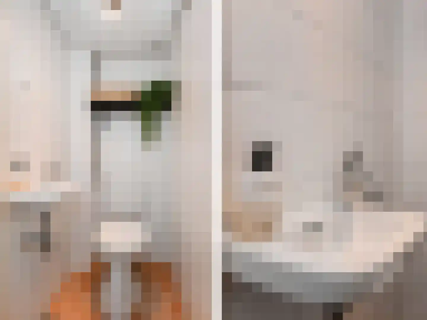 Queridostraat 81 Voorburg thumbnail 31