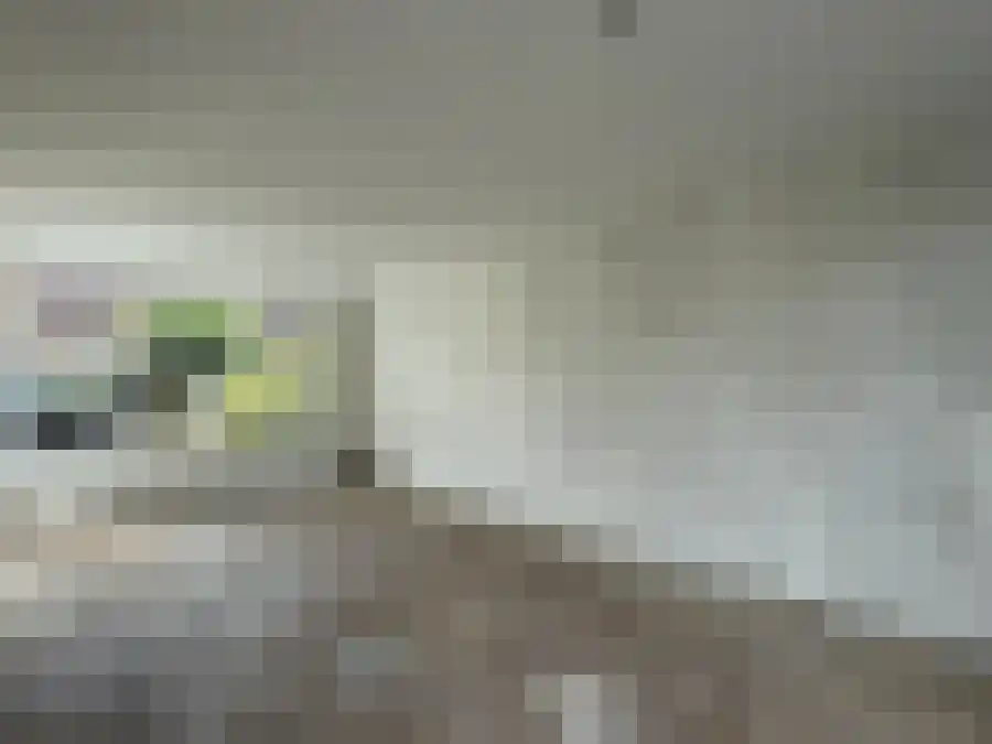 Queridostraat 9 Harderwijk thumbnail 6