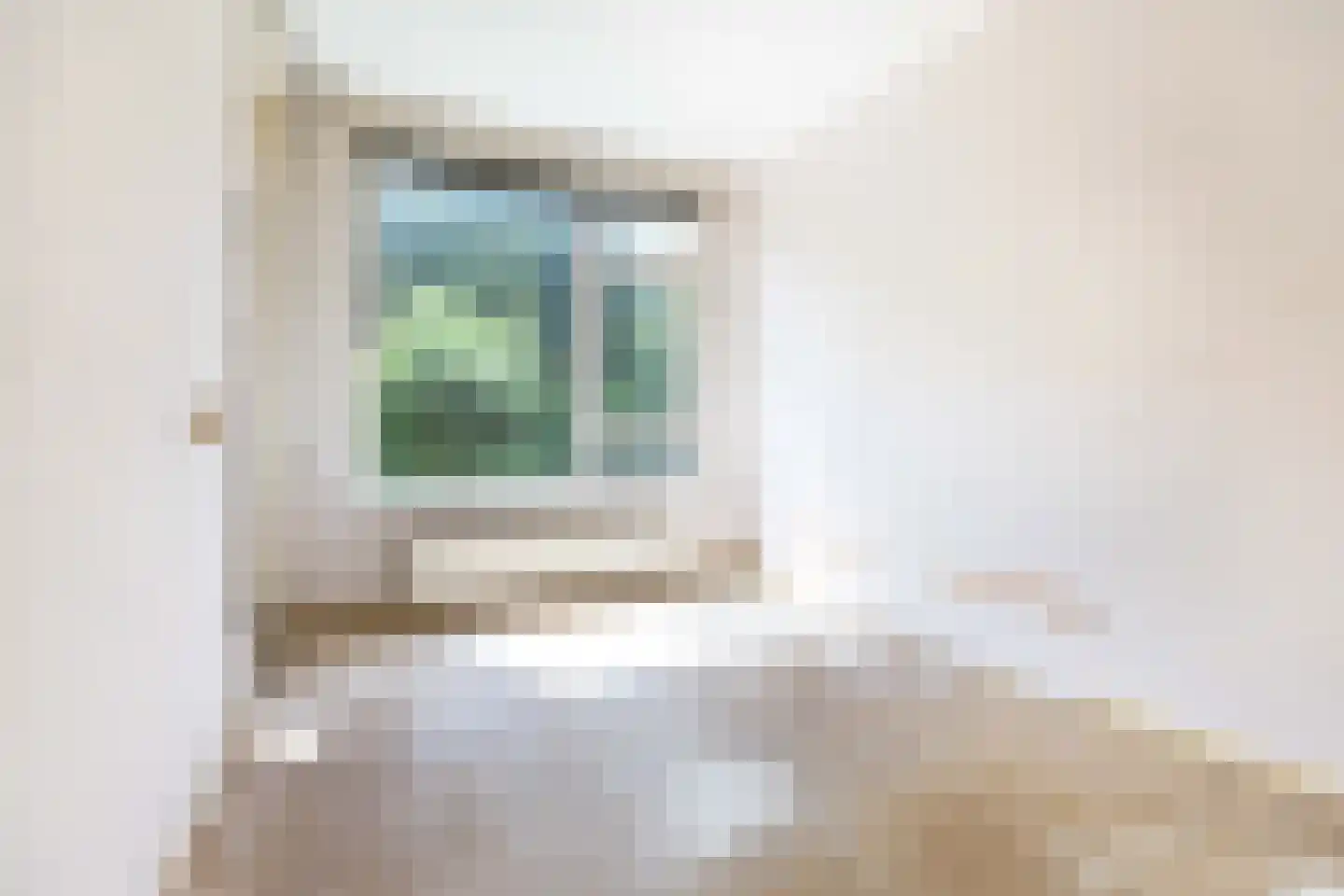 Queridostraat 97 Voorburg thumbnail 17