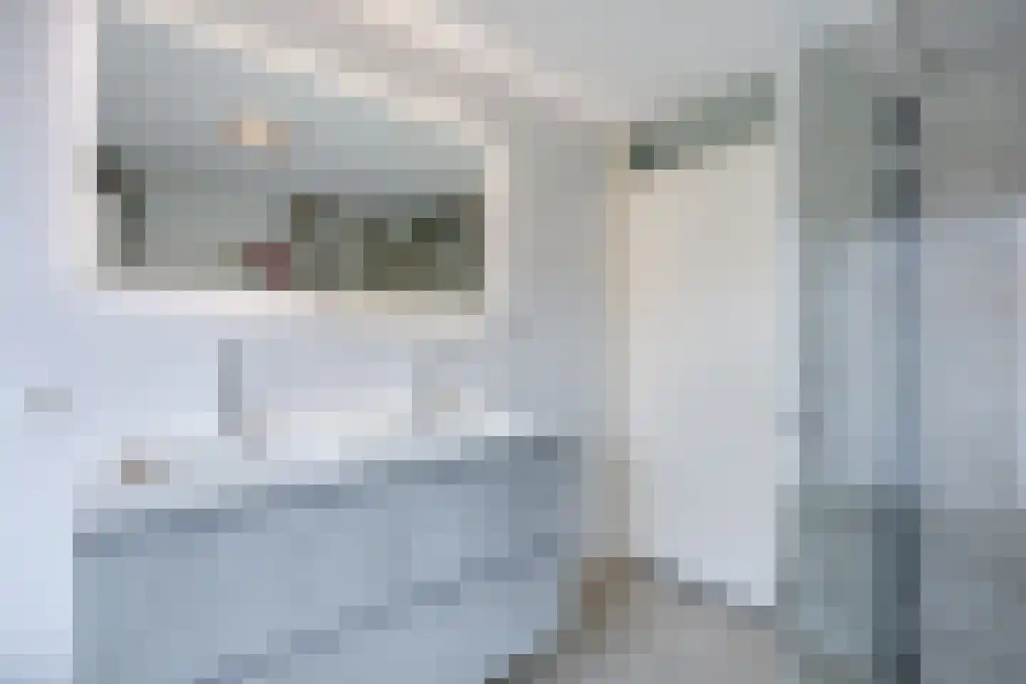 Quickstepstraat 66 Almere thumbnail 27