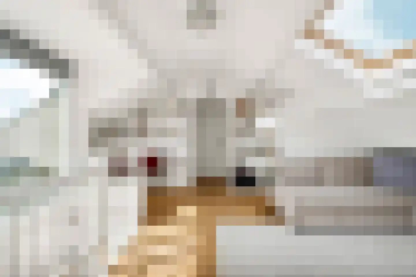 Quinten Massijsstraat 2 2 Amsterdam thumbnail 38