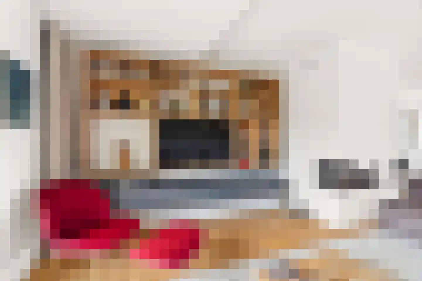 Quinten Massijsstraat 2 2 Amsterdam thumbnail 4