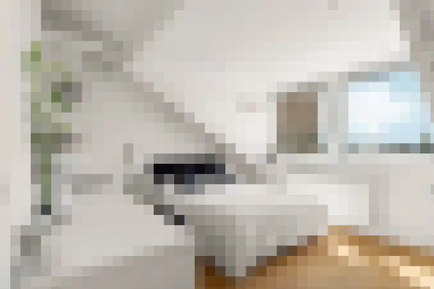 Quinten Massijsstraat 2 2 Amsterdam thumbnail 46