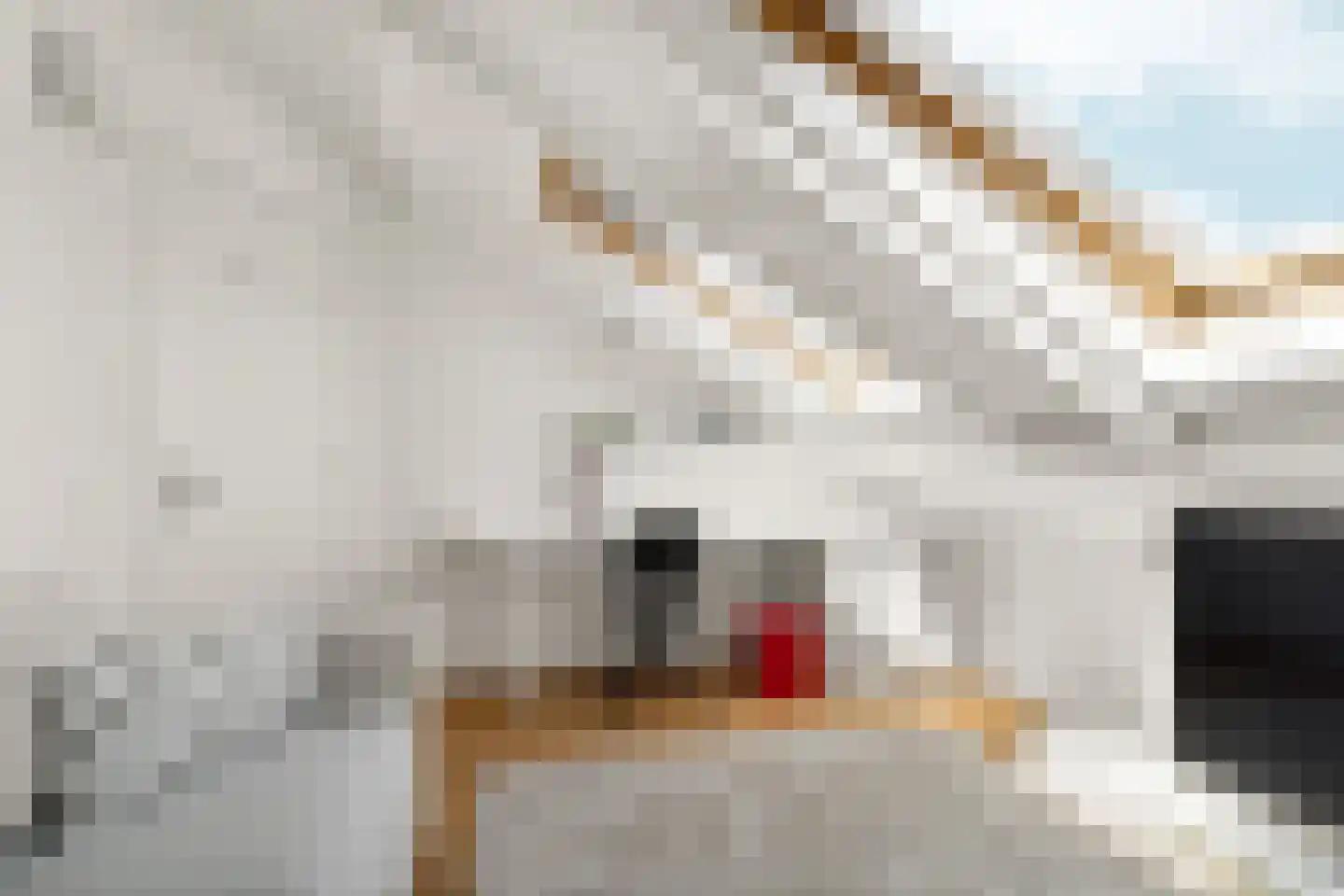 Quinten Massijsstraat 2 2 Amsterdam thumbnail 51