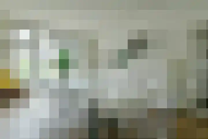 Quinten Massijsstraat 5 1 Amsterdam thumbnail 10