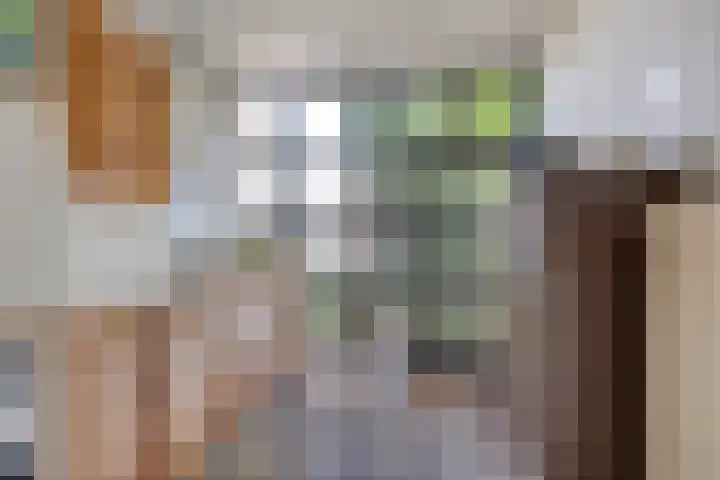 Quintuslaan 25 Groningen thumbnail 17