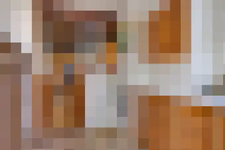 Quintuslaan 25 Groningen thumbnail 18