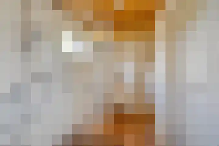 Quintuslaan 25 Groningen thumbnail 26