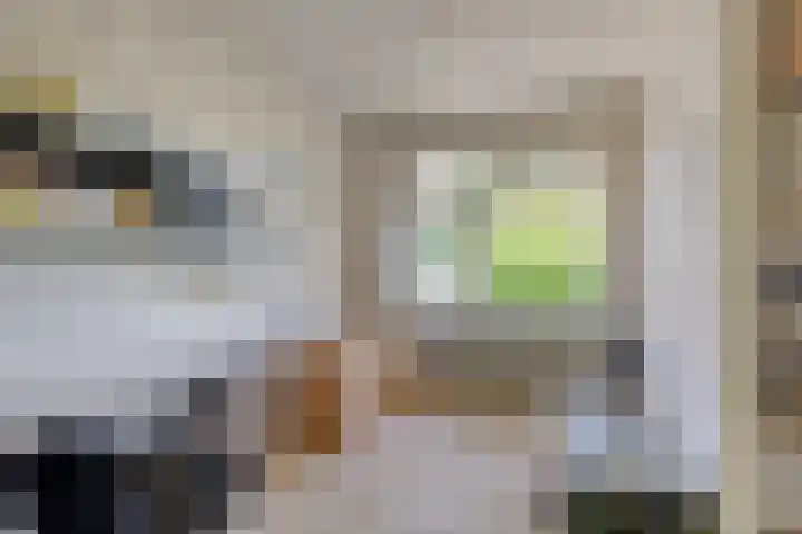 Quintuslaan 25 Groningen thumbnail 27