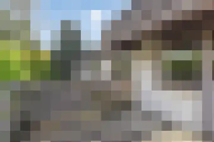 Quintuslaan 25 Groningen thumbnail 31