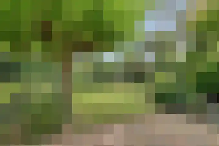 Quintuslaan 25 Groningen thumbnail 32