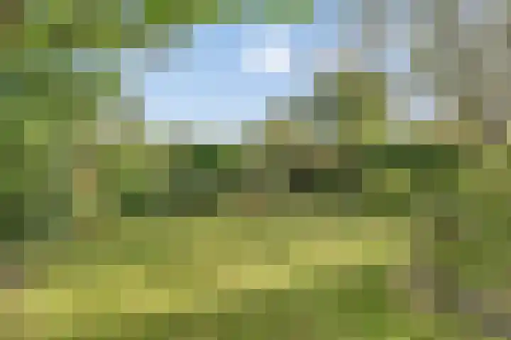 Quintuslaan 25 Groningen thumbnail 35