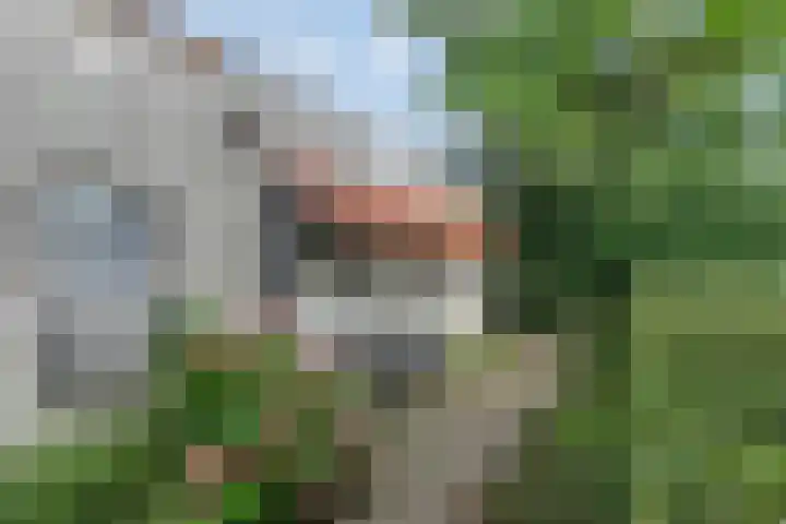 Quintuslaan 25 Groningen thumbnail 37
