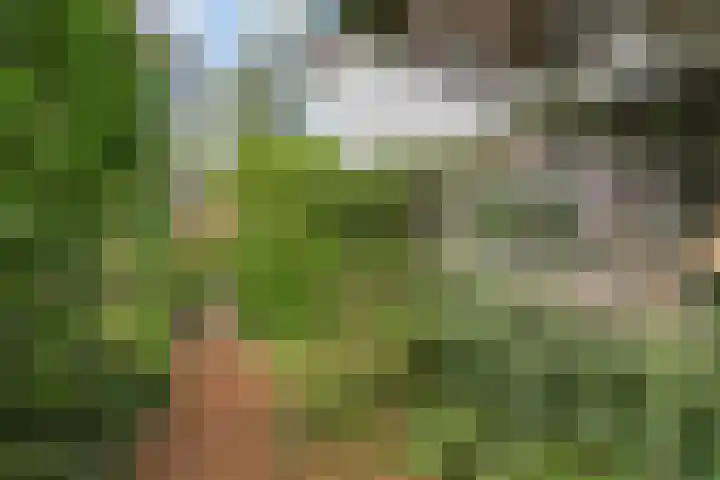 Quintuslaan 25 Groningen thumbnail 38