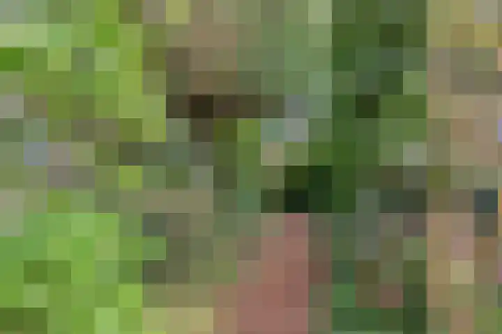 Quintuslaan 25 Groningen thumbnail 39