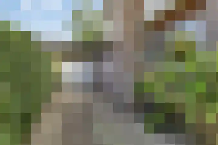 Quintuslaan 25 Groningen thumbnail 6